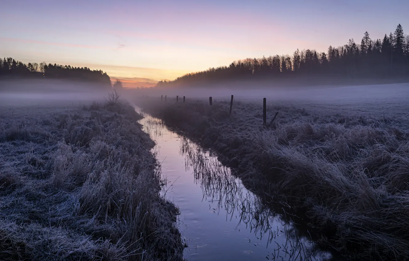 Photo wallpaper field, night, fog, channel