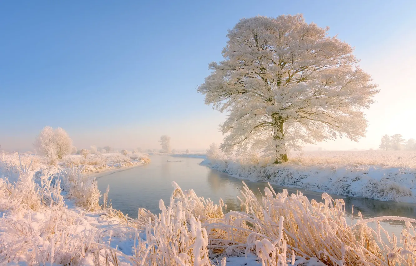 Photo wallpaper winter, frost, the sky, snow, trees, river, blue, shore