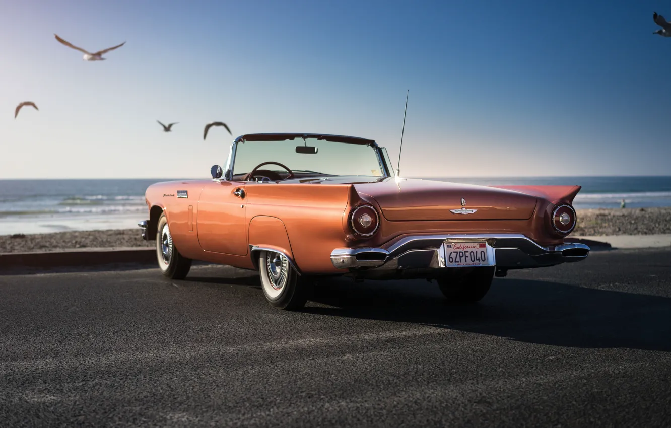 Photo wallpaper seagulls, Ford, Ford, classic, Special, 1957, Supercharged, Thunderbird