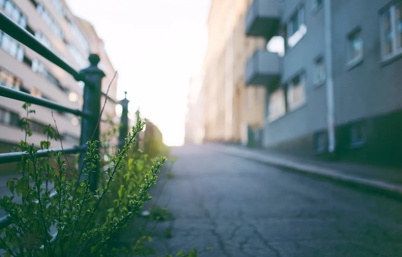 Photo wallpaper the city, street, the fence