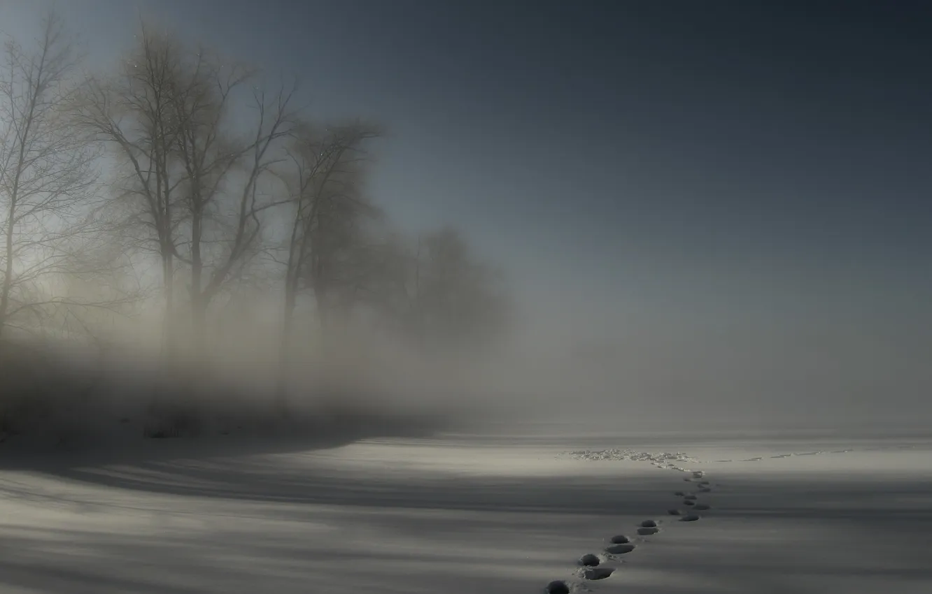 Photo wallpaper winter, snow, traces, fog