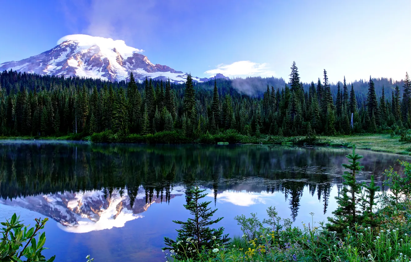 Photo wallpaper forest, summer, the sky, grass, mountains, lake, reflection, national Park