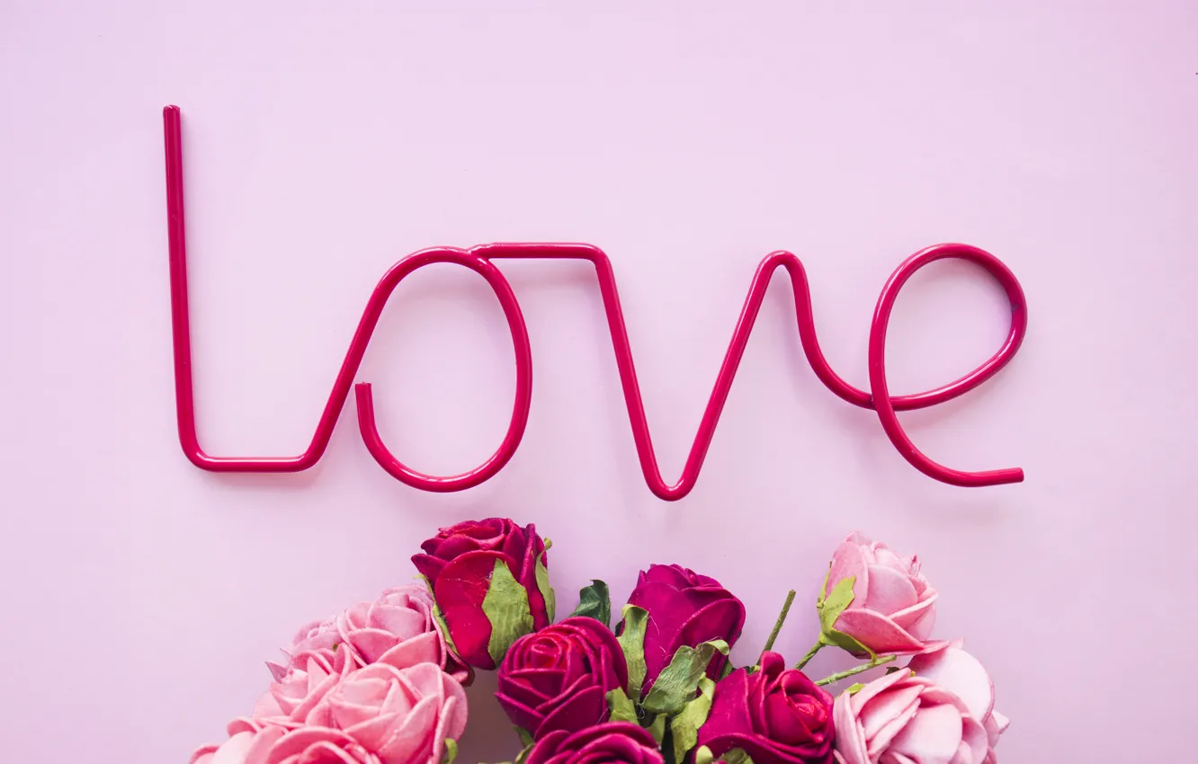Photo wallpaper love, flowers, roses, love, pink background, pink, flowers, beautiful