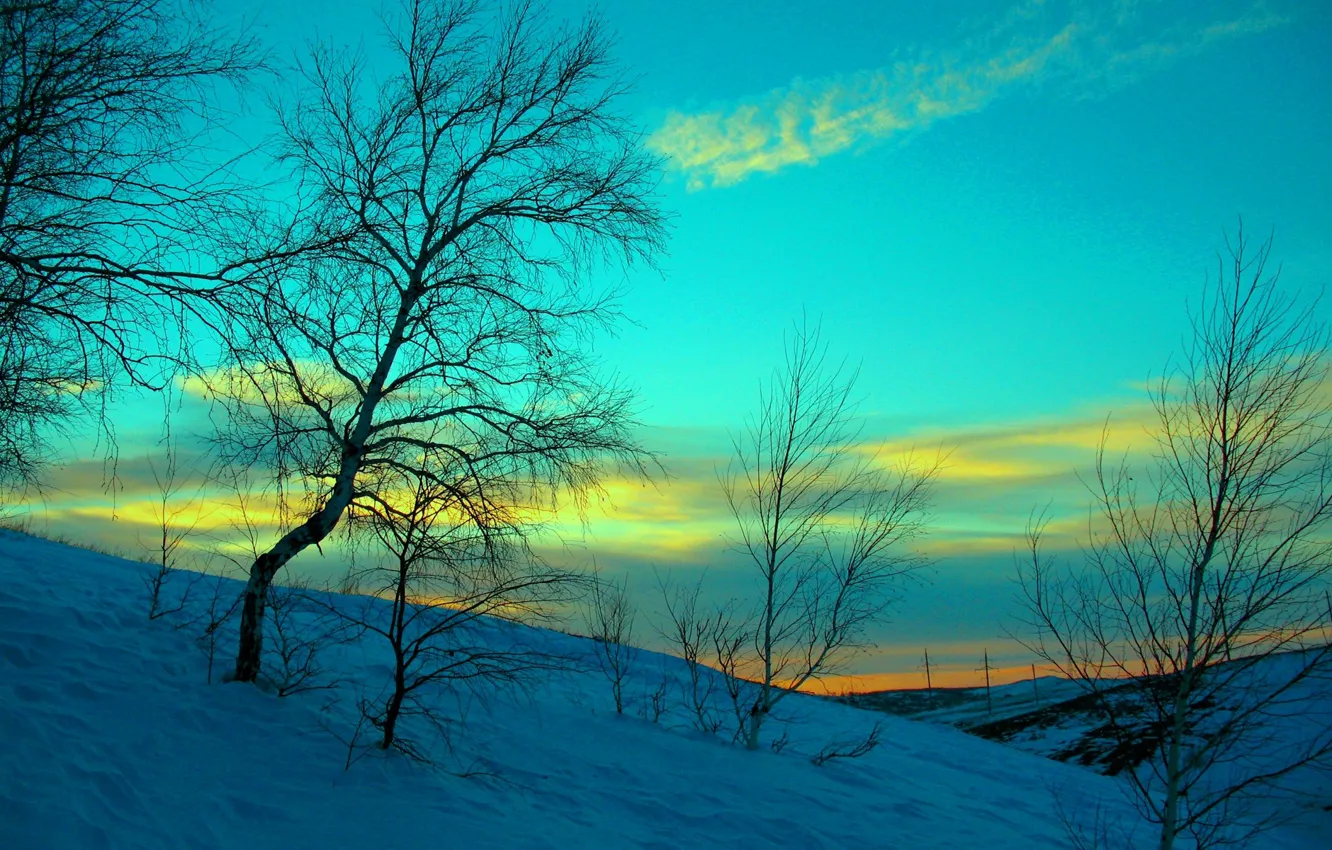 Photo wallpaper winter, the sky, clouds, snow, trees, hills, the evening, glow
