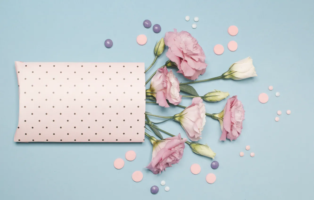 Photo wallpaper flowers, pink, pink, flowers, eustoma, eustoma