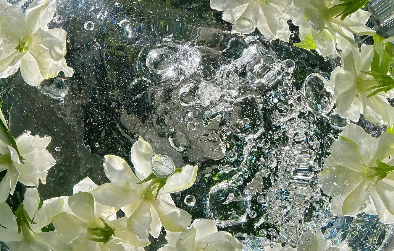 Photo wallpaper water, bubbles, Jasmine