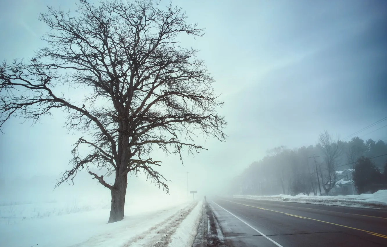 Photo wallpaper road, nature, fog