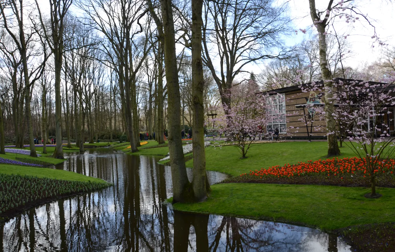 Photo wallpaper Holland, Keukenhof, Netherlands, Blumenhof