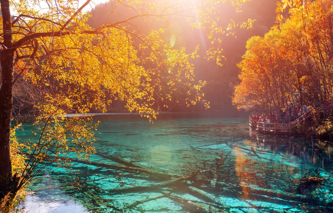 Photo wallpaper autumn, forest, the sun, trees, mountains, yellow, lake, China