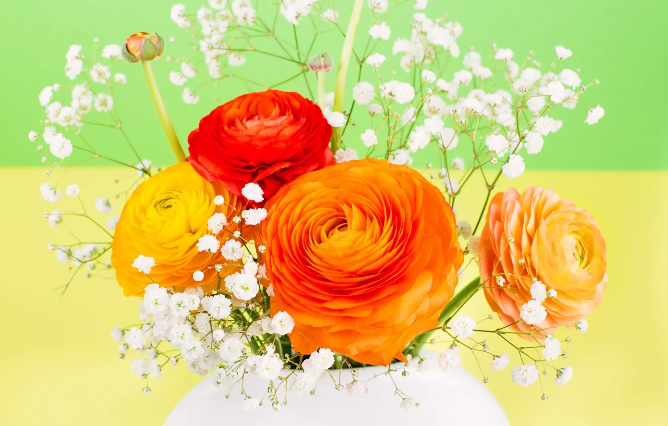 Photo wallpaper plant, bouquet, vase, Ranunculus asiaticus