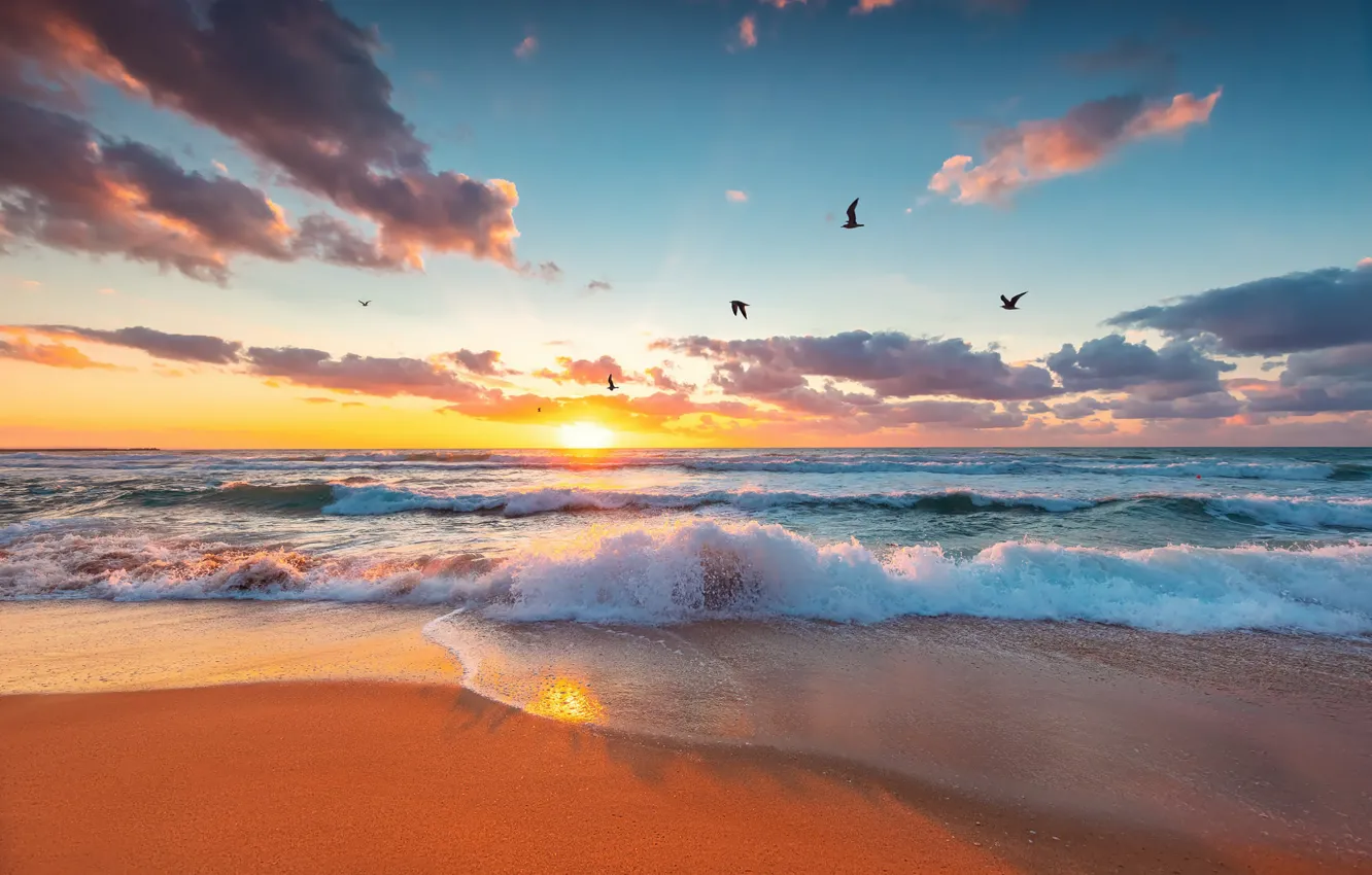 Photo wallpaper sea, beach, sunset, shore, surf