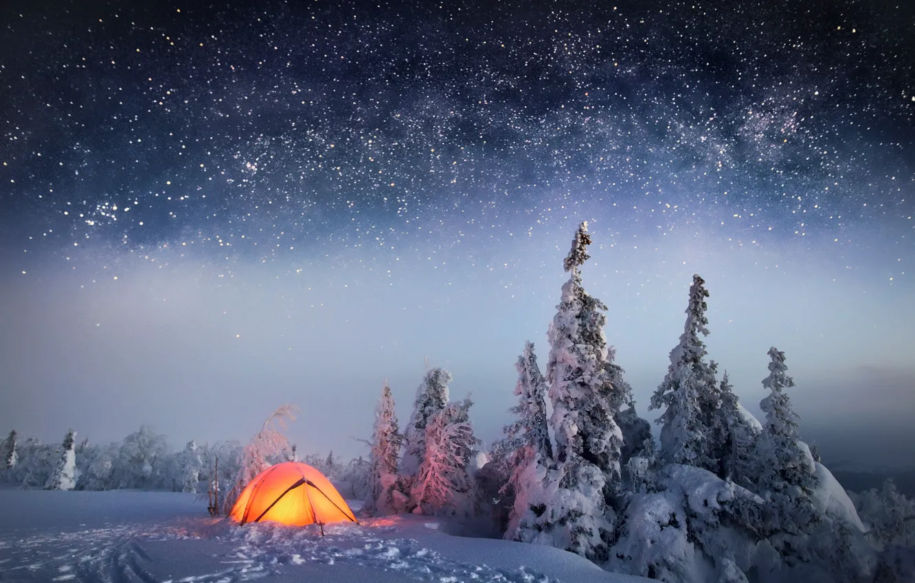 Photo wallpaper winter, forest, the sky, stars, snow, night, tent
