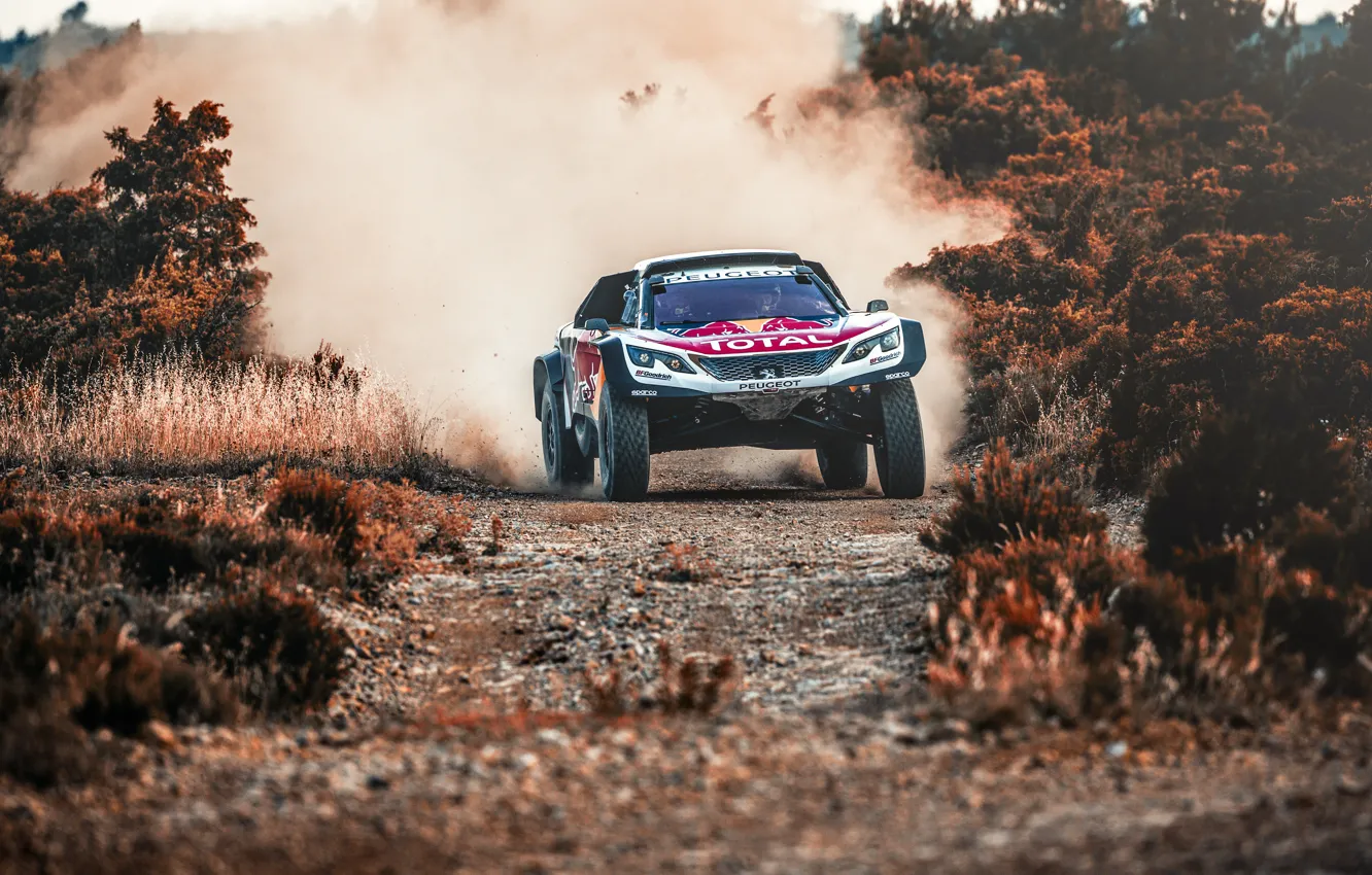 Photo wallpaper machine, auto, race, sport, lights, speed, dust, SUV