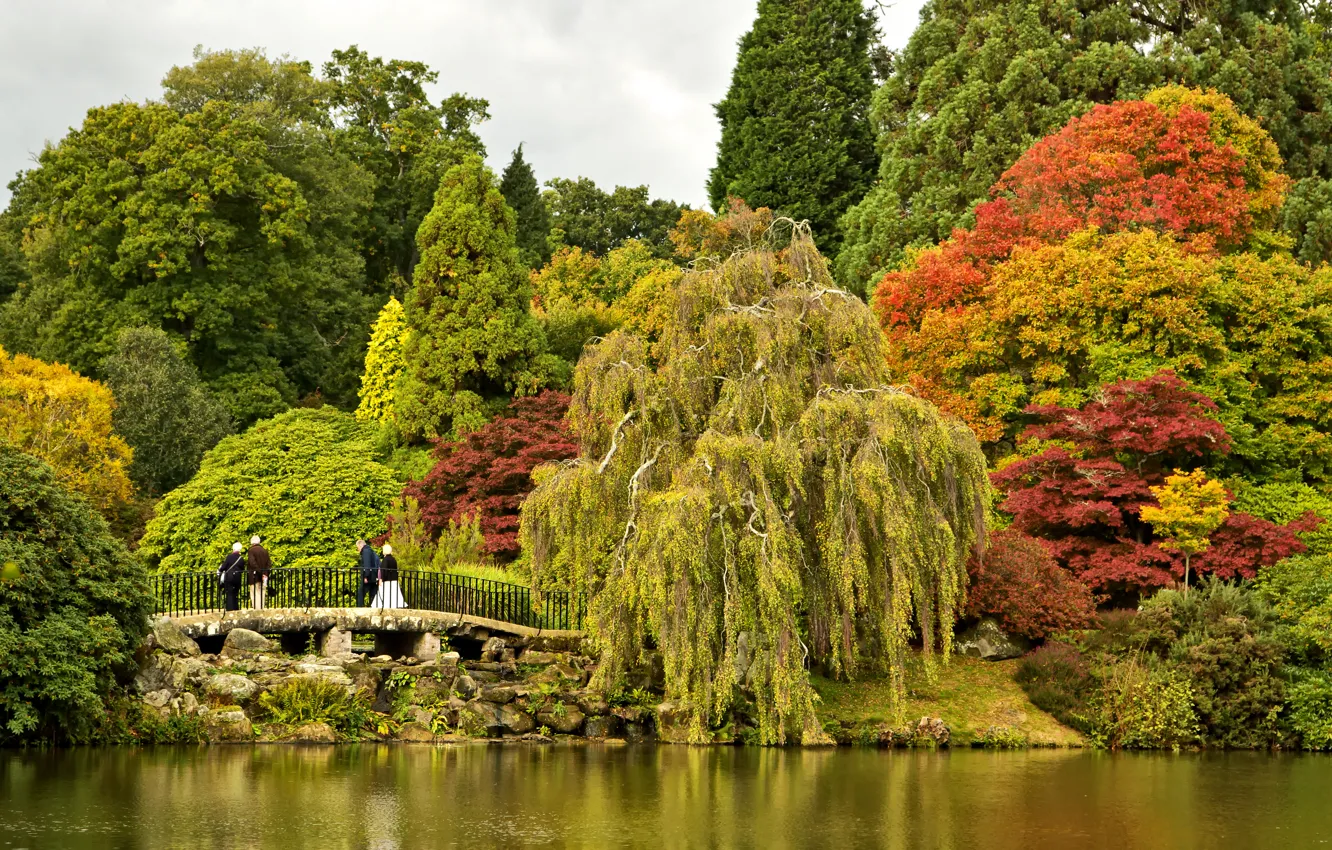Photo wallpaper autumn, trees, bridge, pond, Park, stones, UK, Sheffield Park Garden