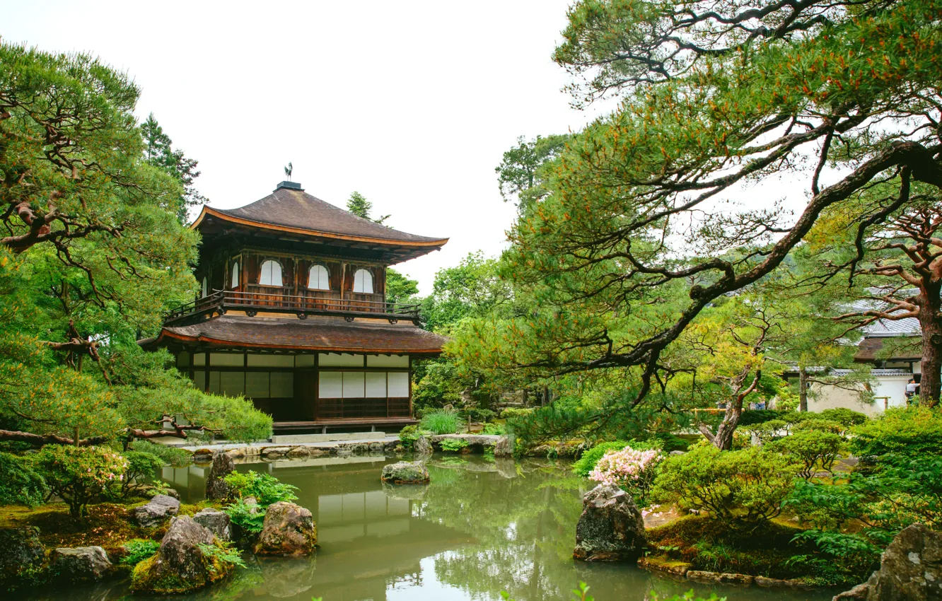 Photo wallpaper greens, water, pond, Park, Japan, pagoda, pine