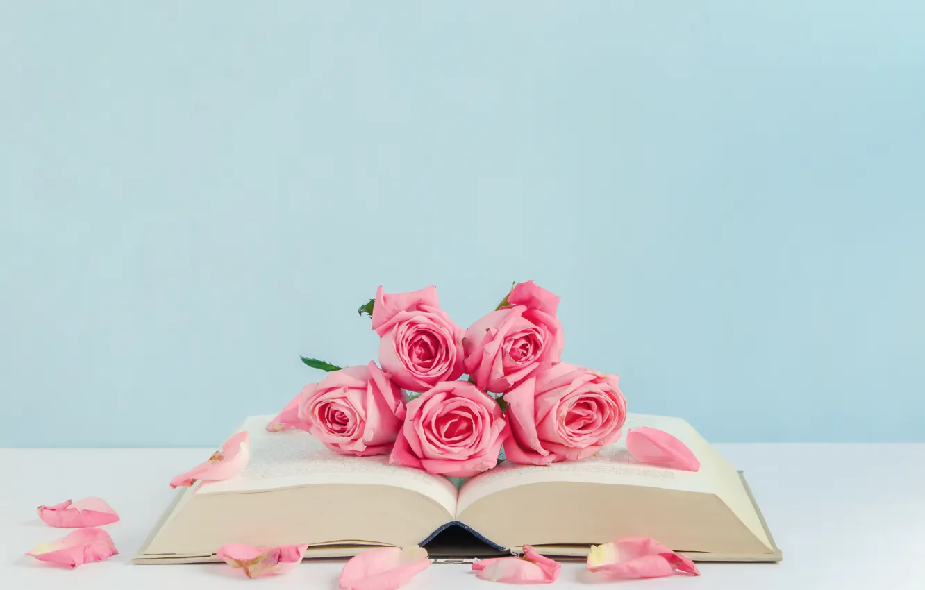 Photo wallpaper flowers, roses, petals, book, pink, buds, pink, flowers
