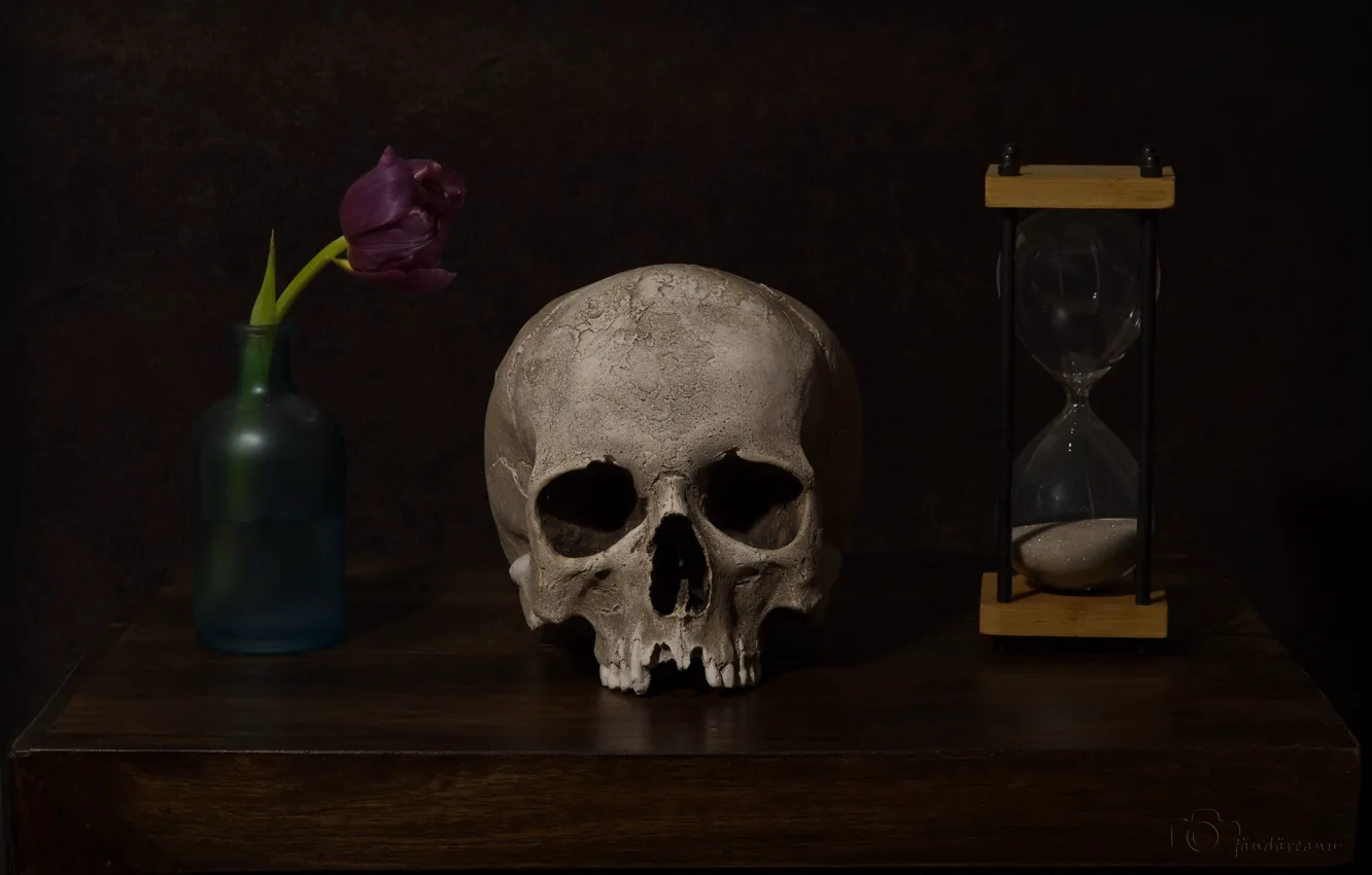 Photo wallpaper flower, watch, skull