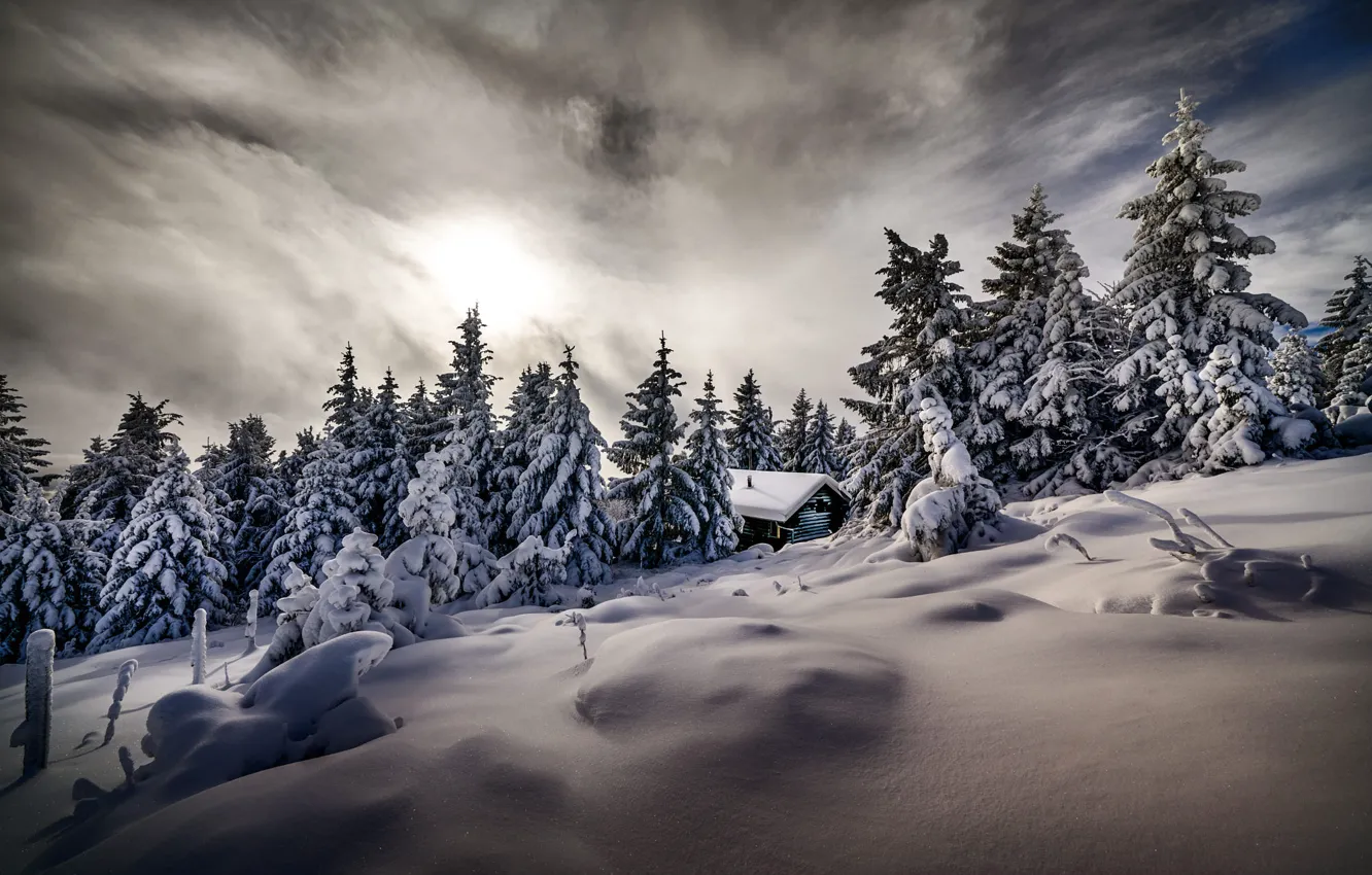 Photo wallpaper winter, snow, trees, landscape, nature, home, ate, Robert Didierjean