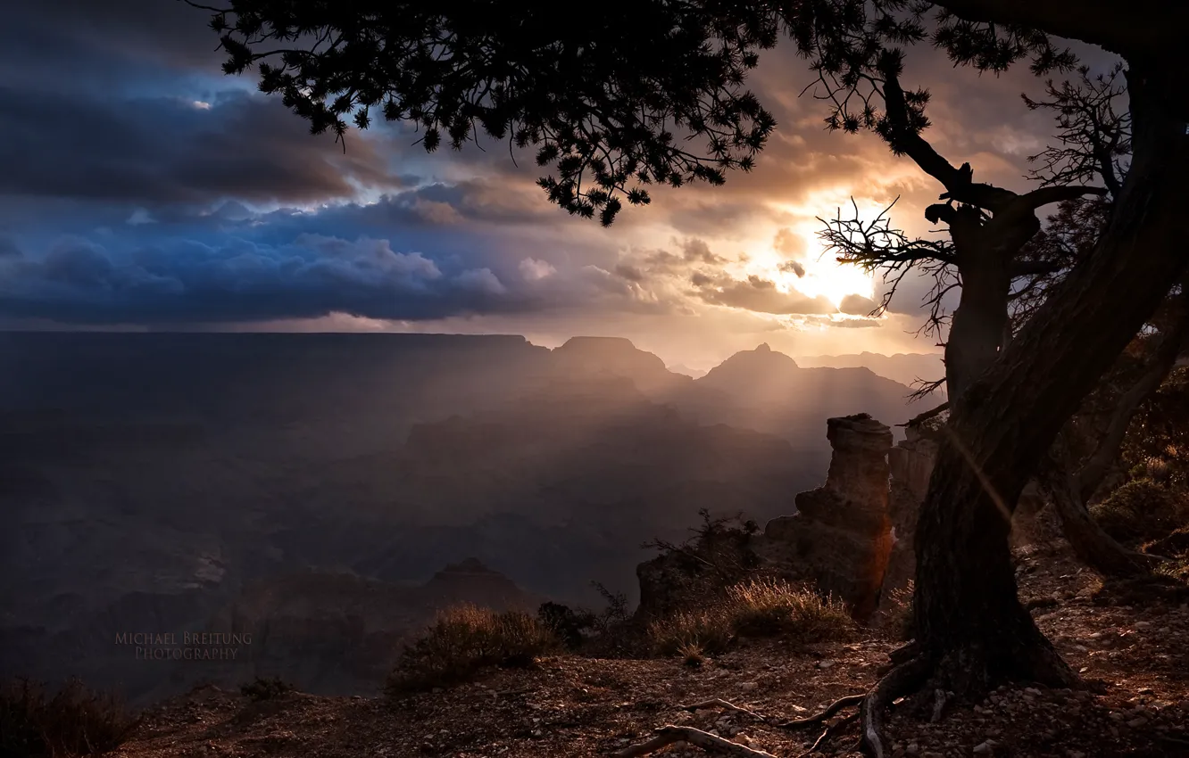 Photo wallpaper clouds, tree, the rays of the sun, Arizona, The Grand canyon