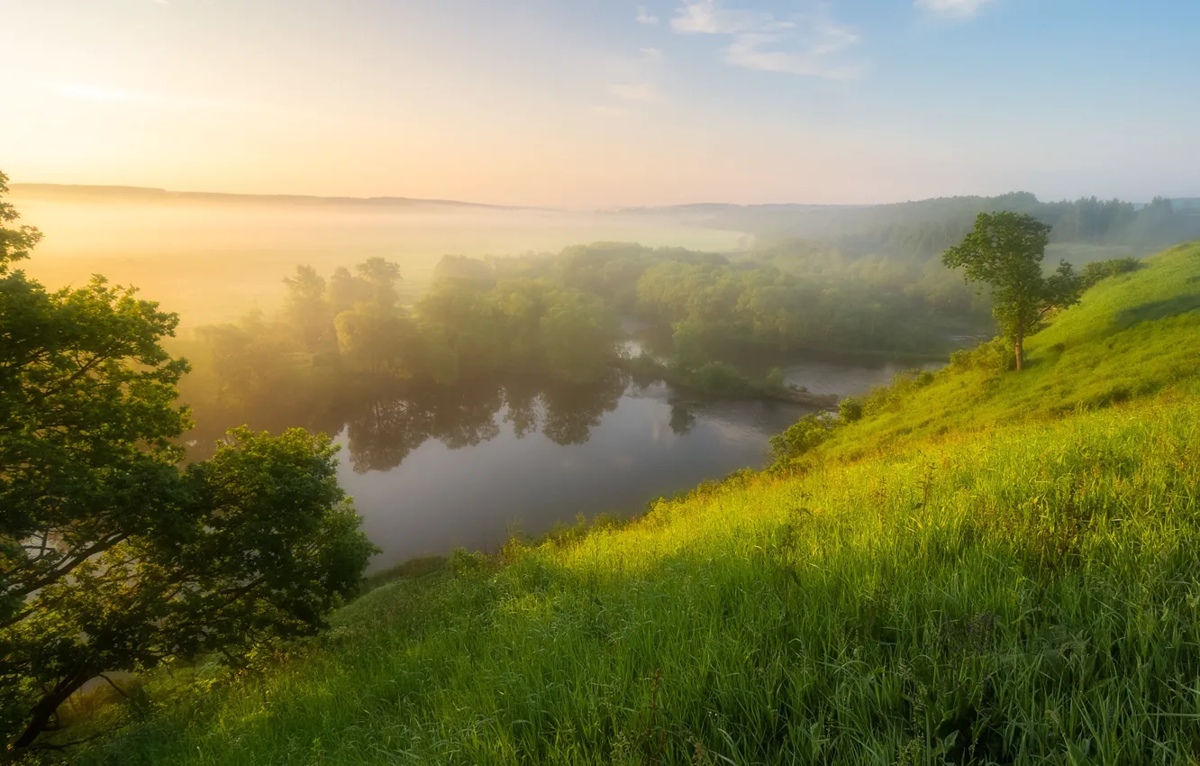 Photo wallpaper morning, fog, shore, lake, greens, summer