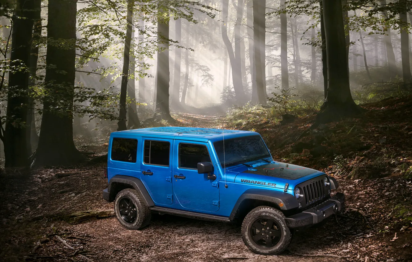 Photo wallpaper forest, jeep, Wrangler, Jeep, 2015, Wrangler