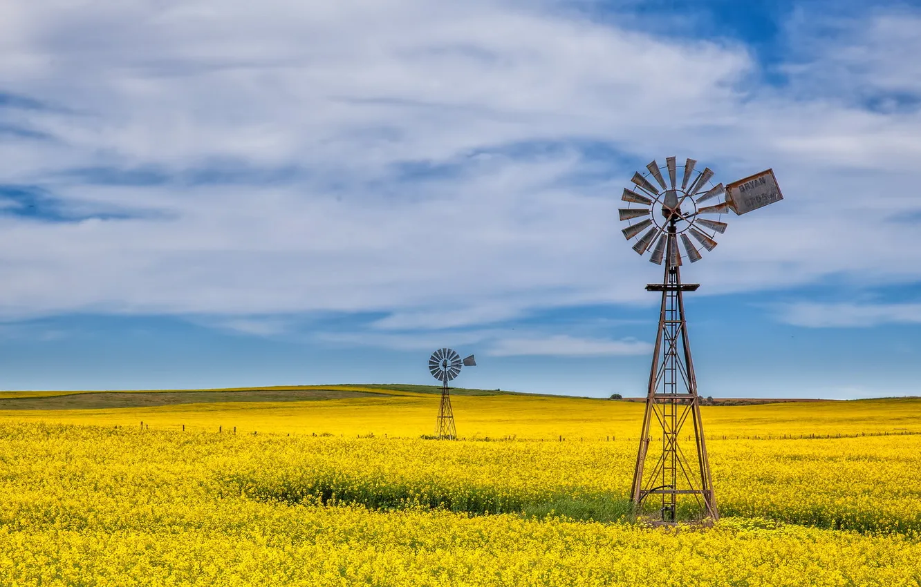 Photo wallpaper field, summer, landscape, windmills