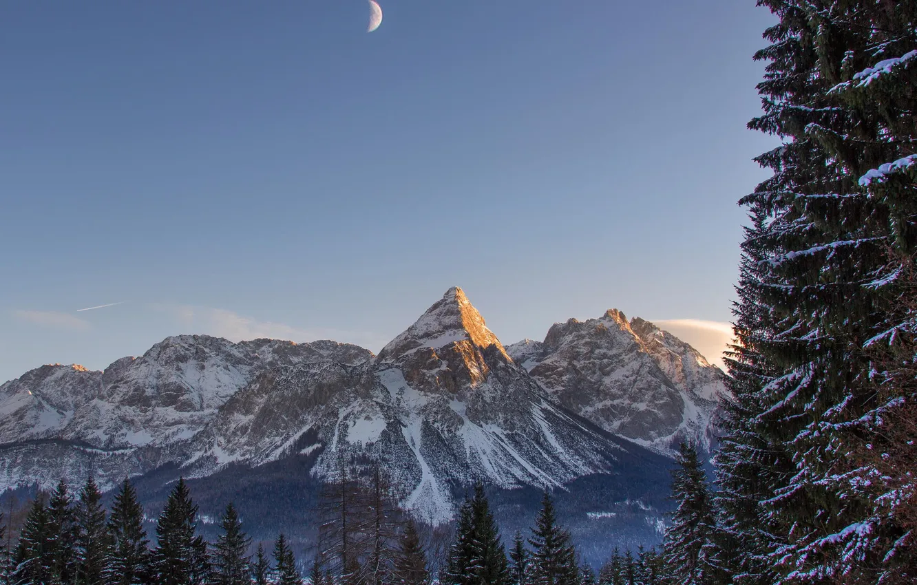 Photo wallpaper winter, forest, snow, mountains, nature