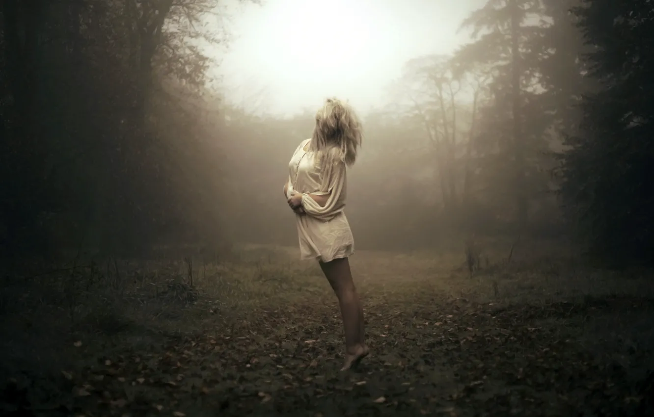 Photo wallpaper forest, girl, fog