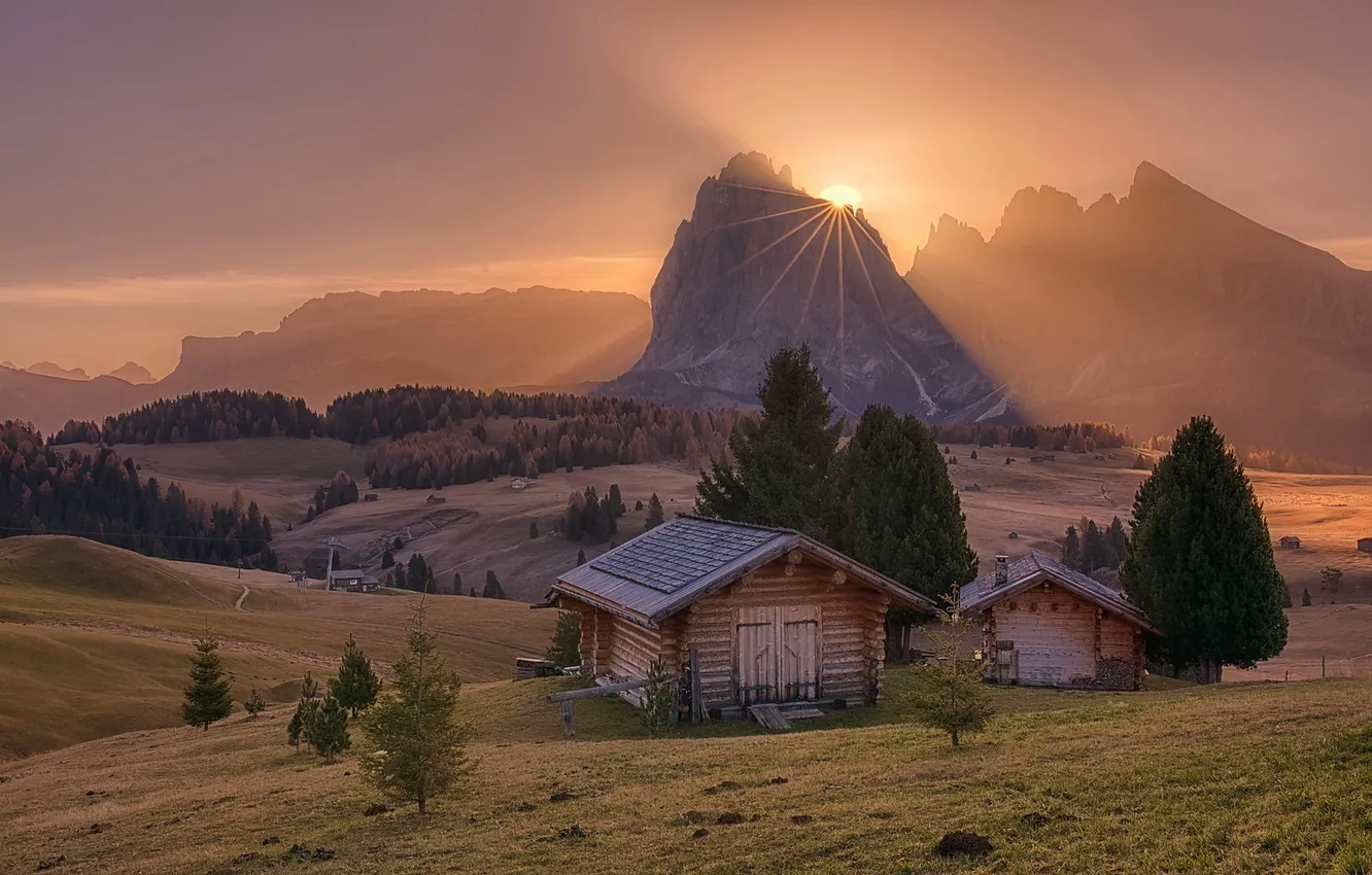 Photo wallpaper field, autumn, forest, the sky, the sun, clouds, rays, light