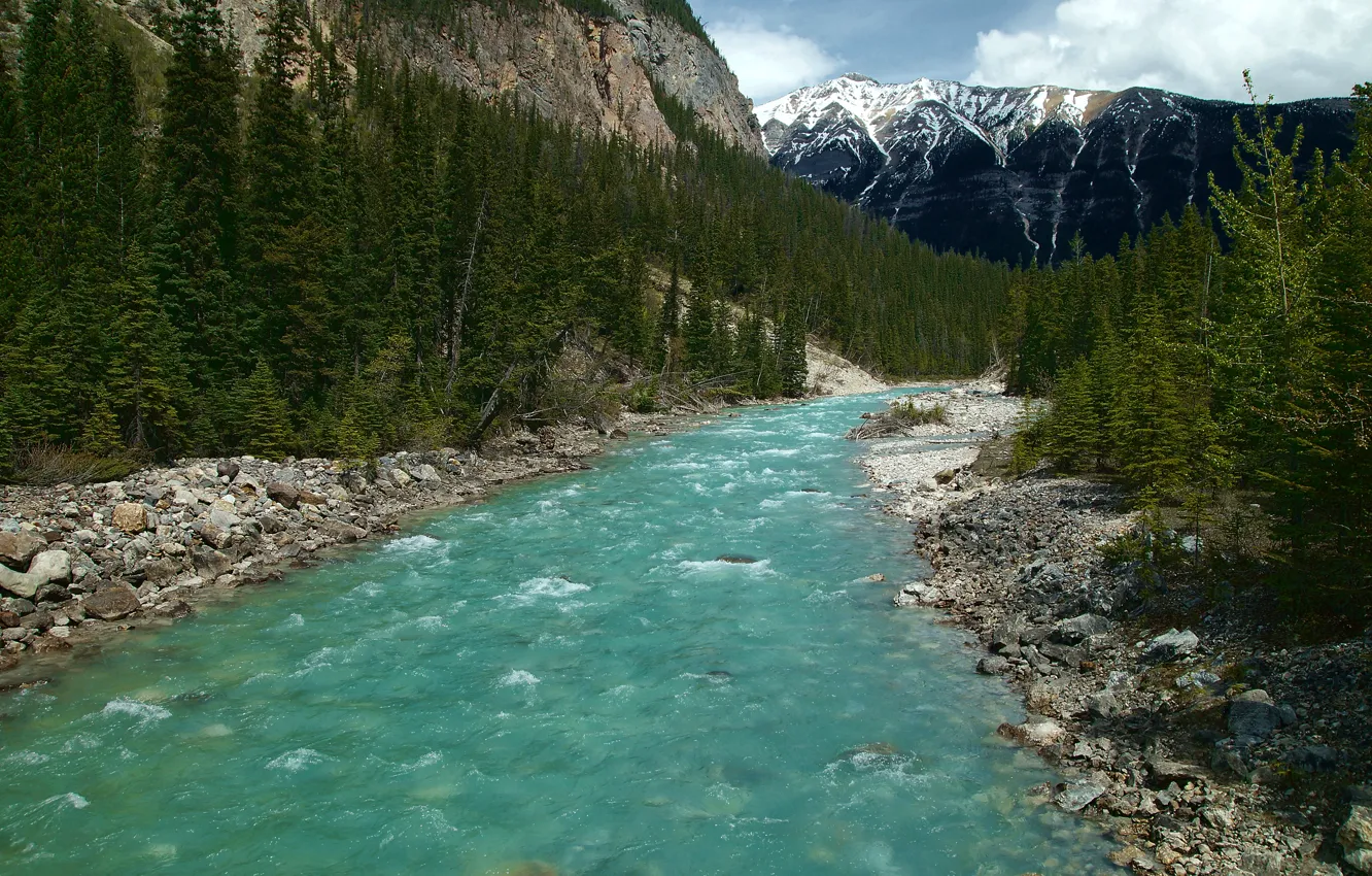 Photo wallpaper forest, the sky, clouds, trees, mountains, river, Canada, Icefields Parkway