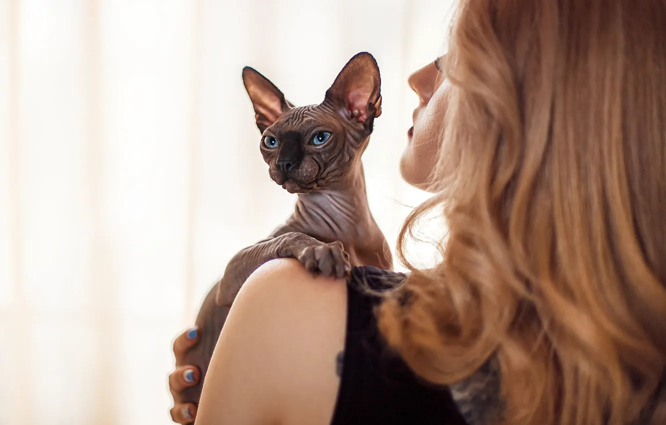 Photo wallpaper cat, cat, girl, Sphinx