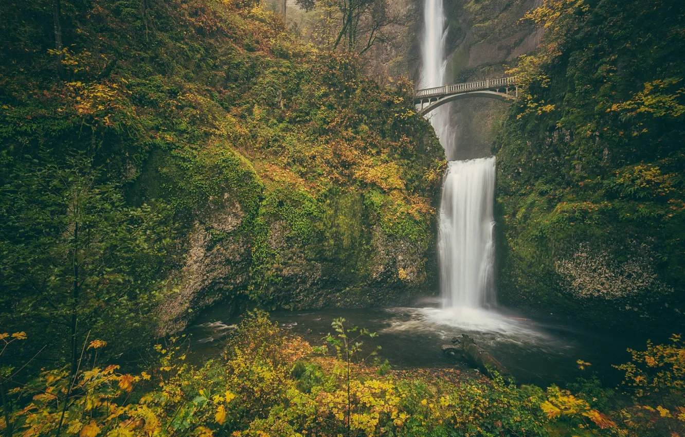 Photo wallpaper autumn, bridge, rocks, waterfall, Oregon, Oregon, Columbia River Gorge, the Columbia river gorge