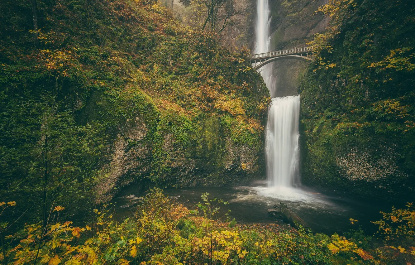 Photo wallpaper autumn, bridge, rock, waterfall, Oregon, Oregon, Columbia River Gorge, the Multnomah falls