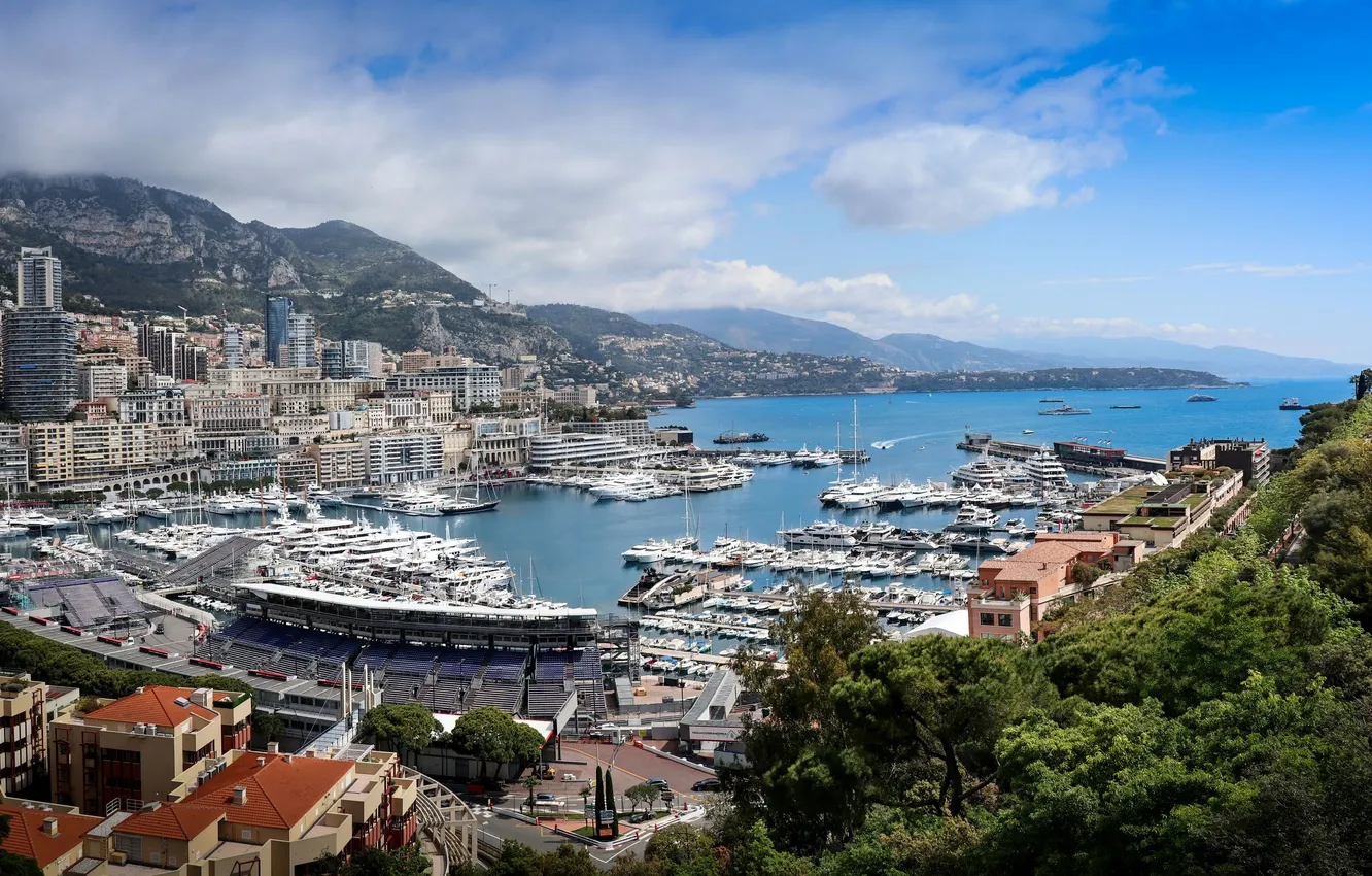 Photo wallpaper Cape, The Principality Of Monaco, Nadezhda Demkina, Tete de Chien