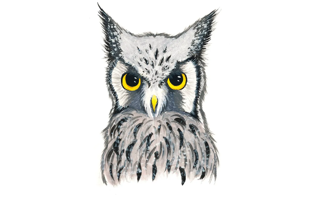 Photo wallpaper owl, bird, owl
