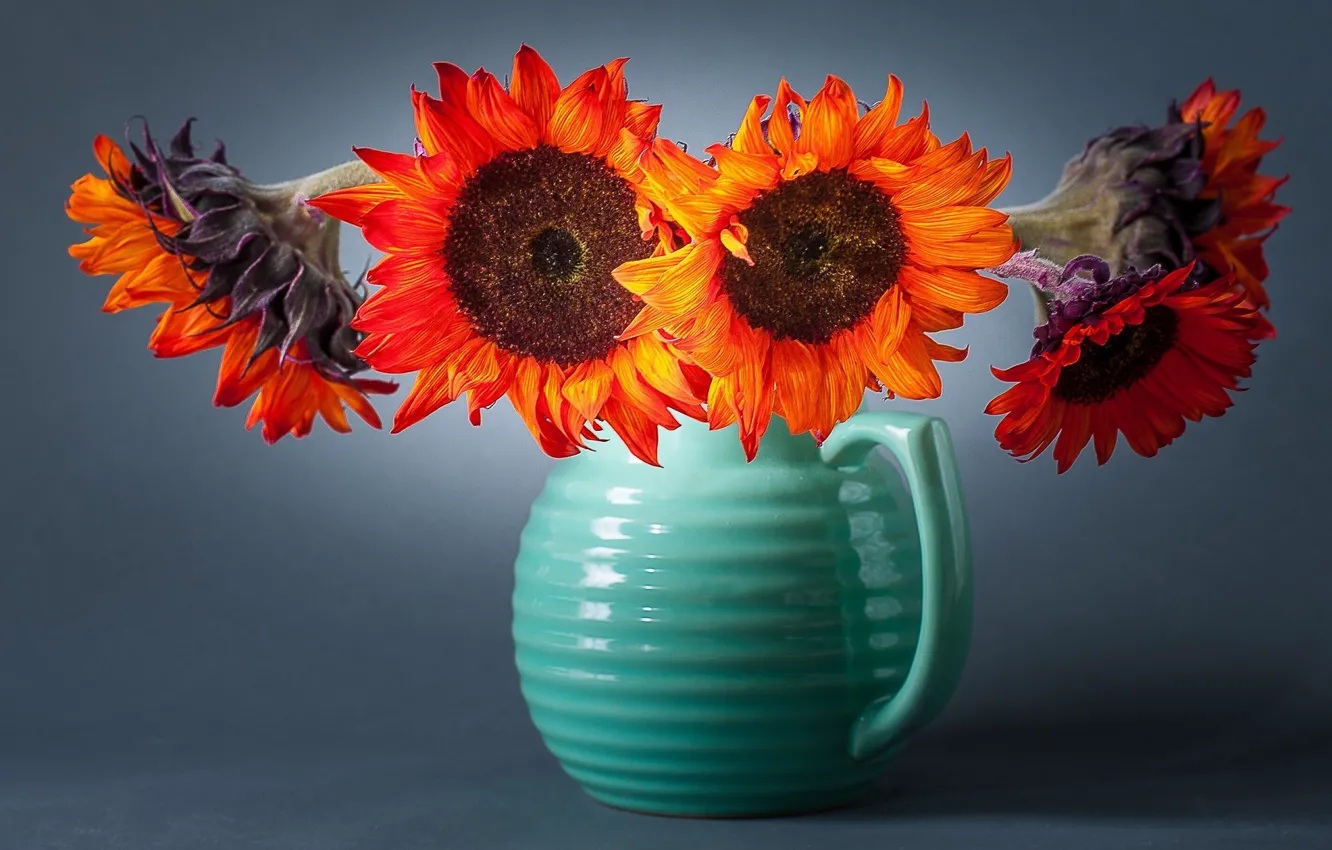 Photo wallpaper sunflowers, flowers, background, vase