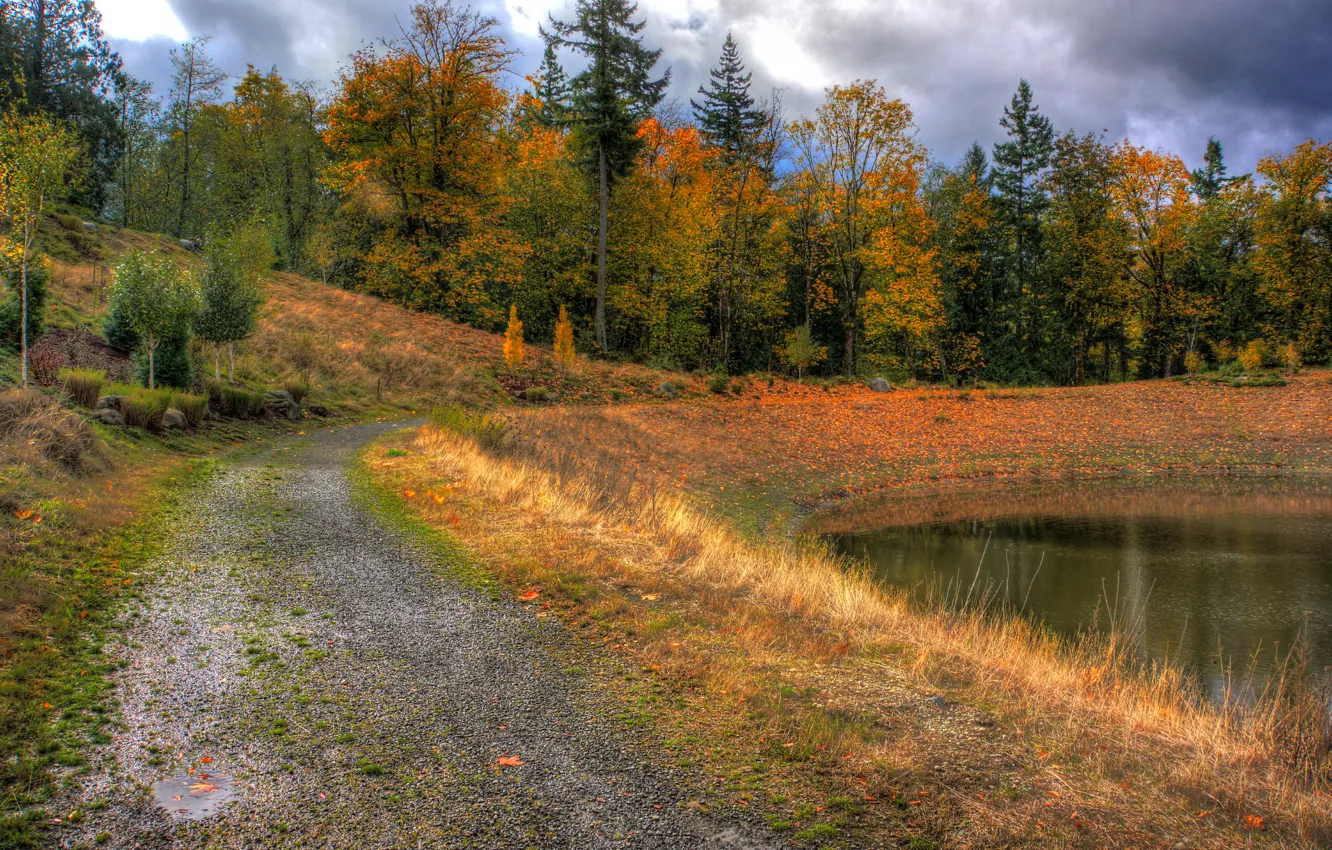 Photo wallpaper HDR, Autumn, Trees, Fall, Track, Autumn, Colors, Trees