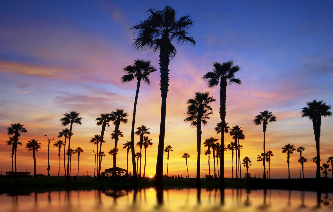 Photo wallpaper water, the sun, landscape, sunset, palm trees, stay, people