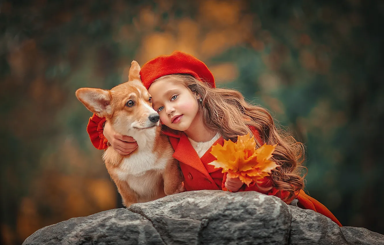 Photo wallpaper autumn, leaves, nature, stones, portrait, dog, bouquet, girl