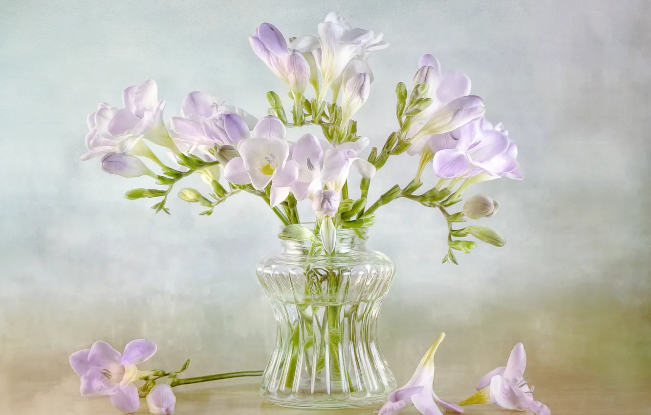 Photo wallpaper tenderness, bouquet, freesia