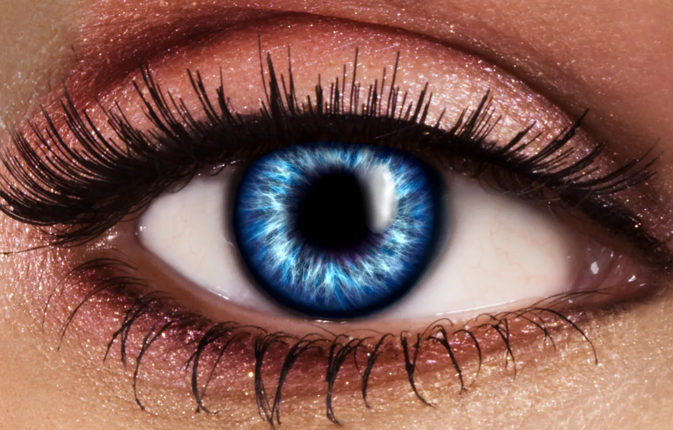 Photo wallpaper Look, Eyes, Eyelashes, The pupil, Closeup, Blue Eye