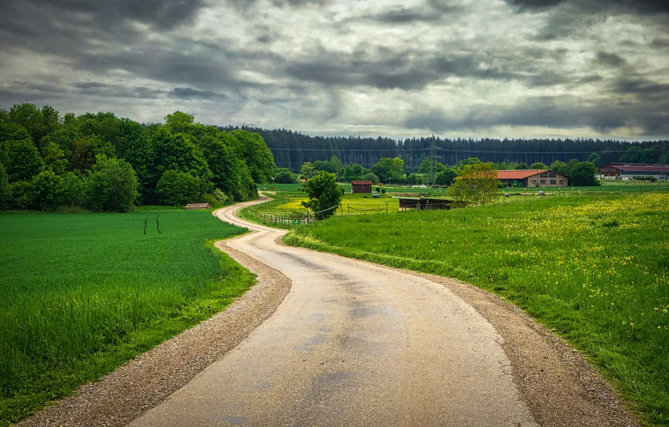 Photo wallpaper road, greens, field, forest, the sky, grass, trees, clouds