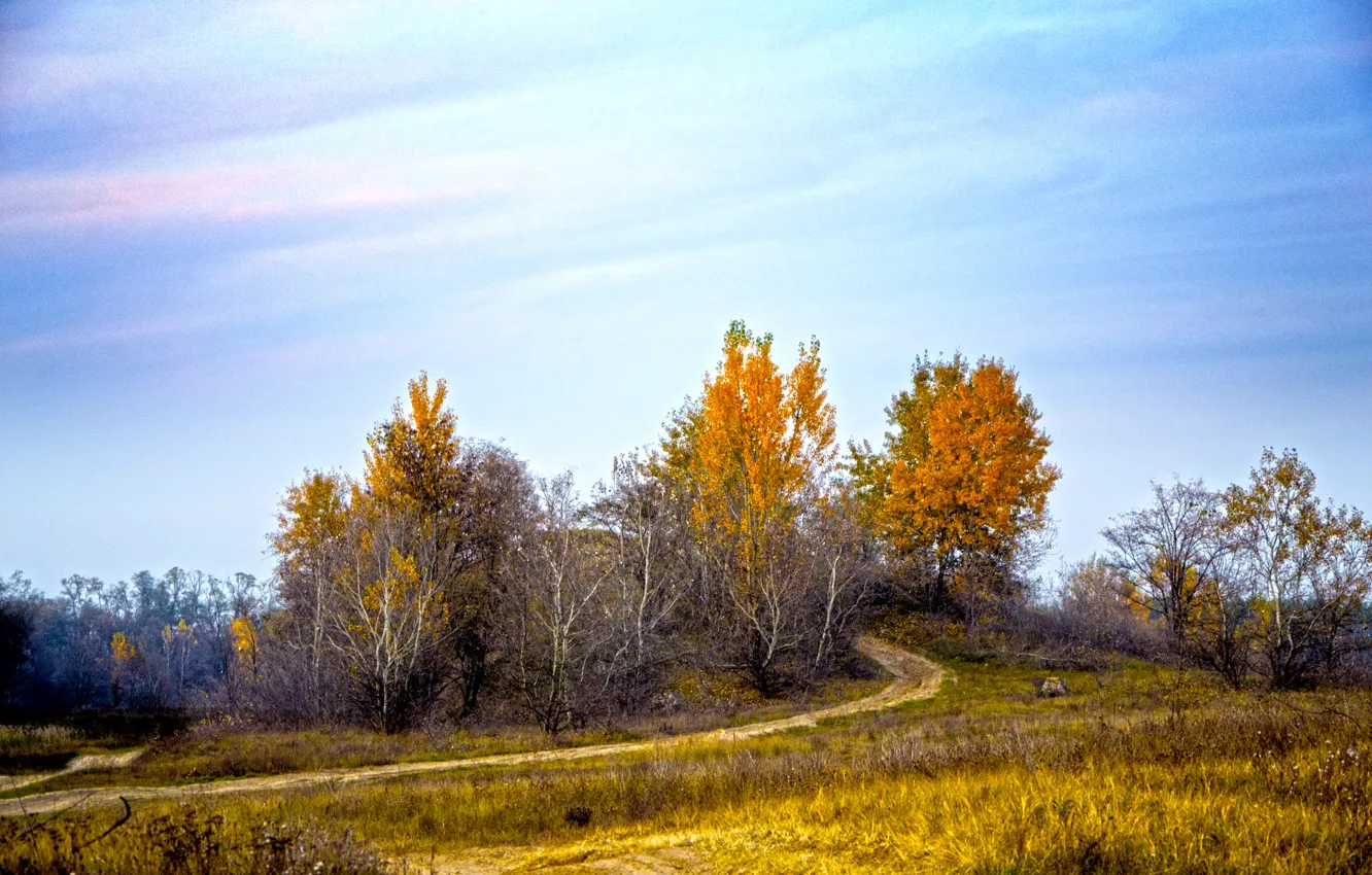 Photo wallpaper field, autumn, nature, track, field, autumn, path, fall