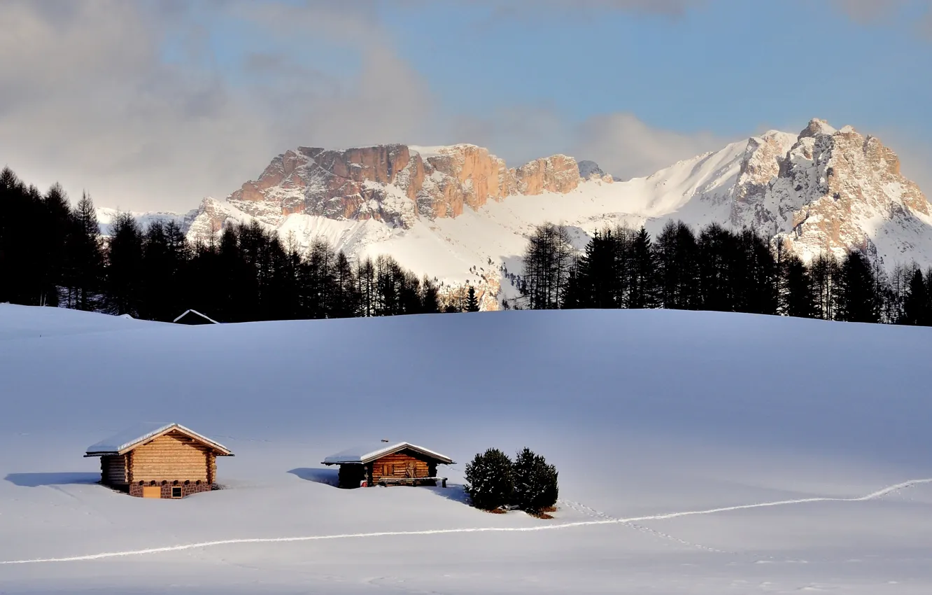 Photo wallpaper snow, trees, mountains, home, trees, mountains, snow, houses