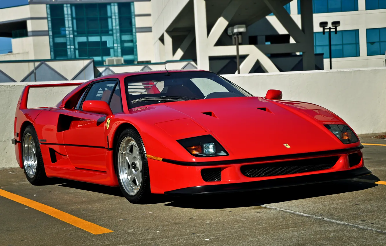 Photo wallpaper trees, flowers, cars