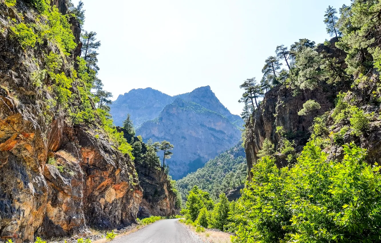 Photo wallpaper road, trees, mountains, rocks, Turkey