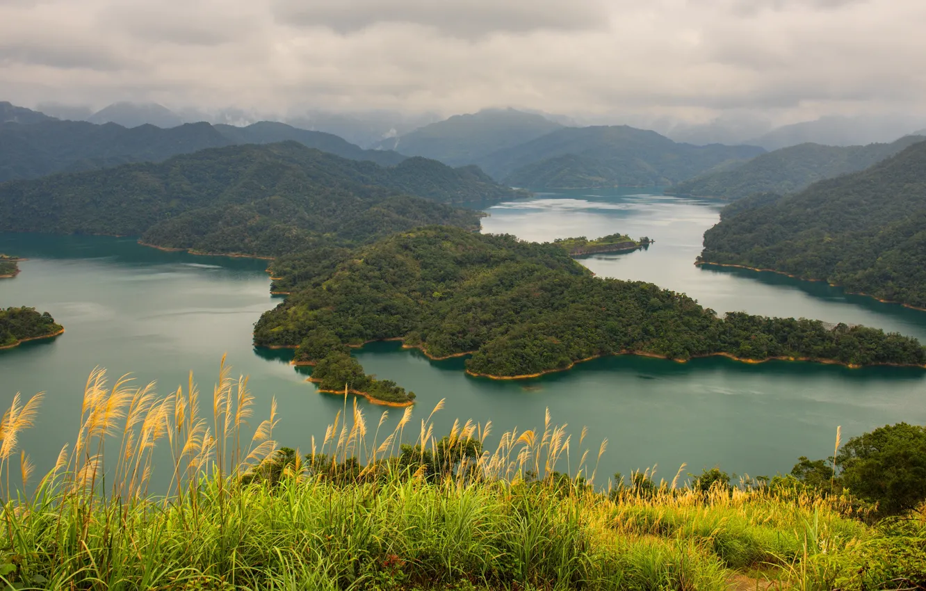 Photo wallpaper forest, grass, clouds, mountains, fog, river, hills, shore
