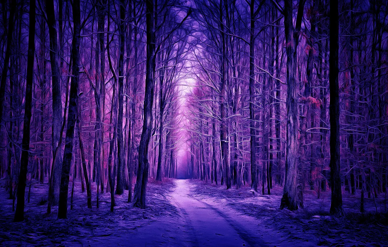 Photo wallpaper winter, forest, digital painting, winter forest