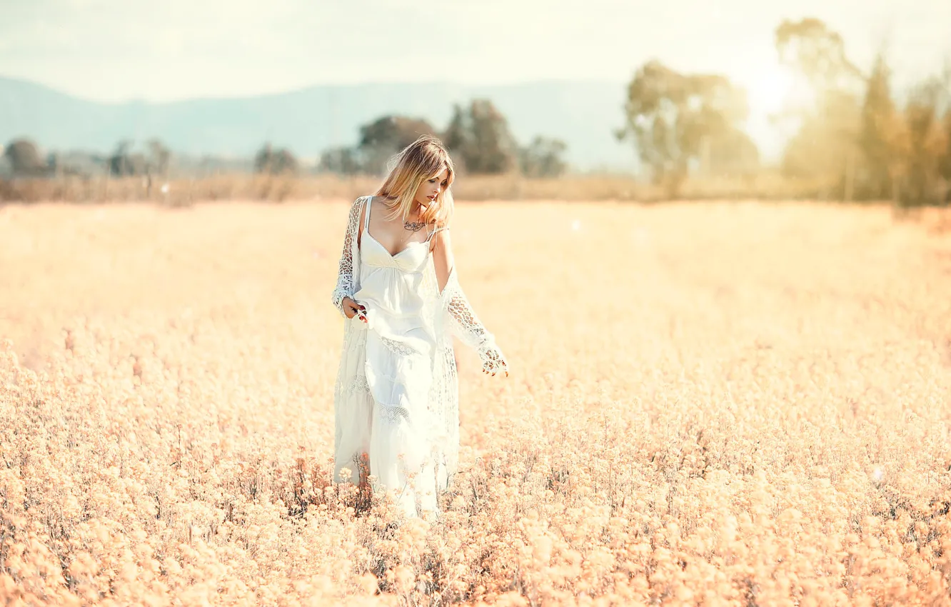 Photo wallpaper field, girl, Alessandro Di Cicco, Softness