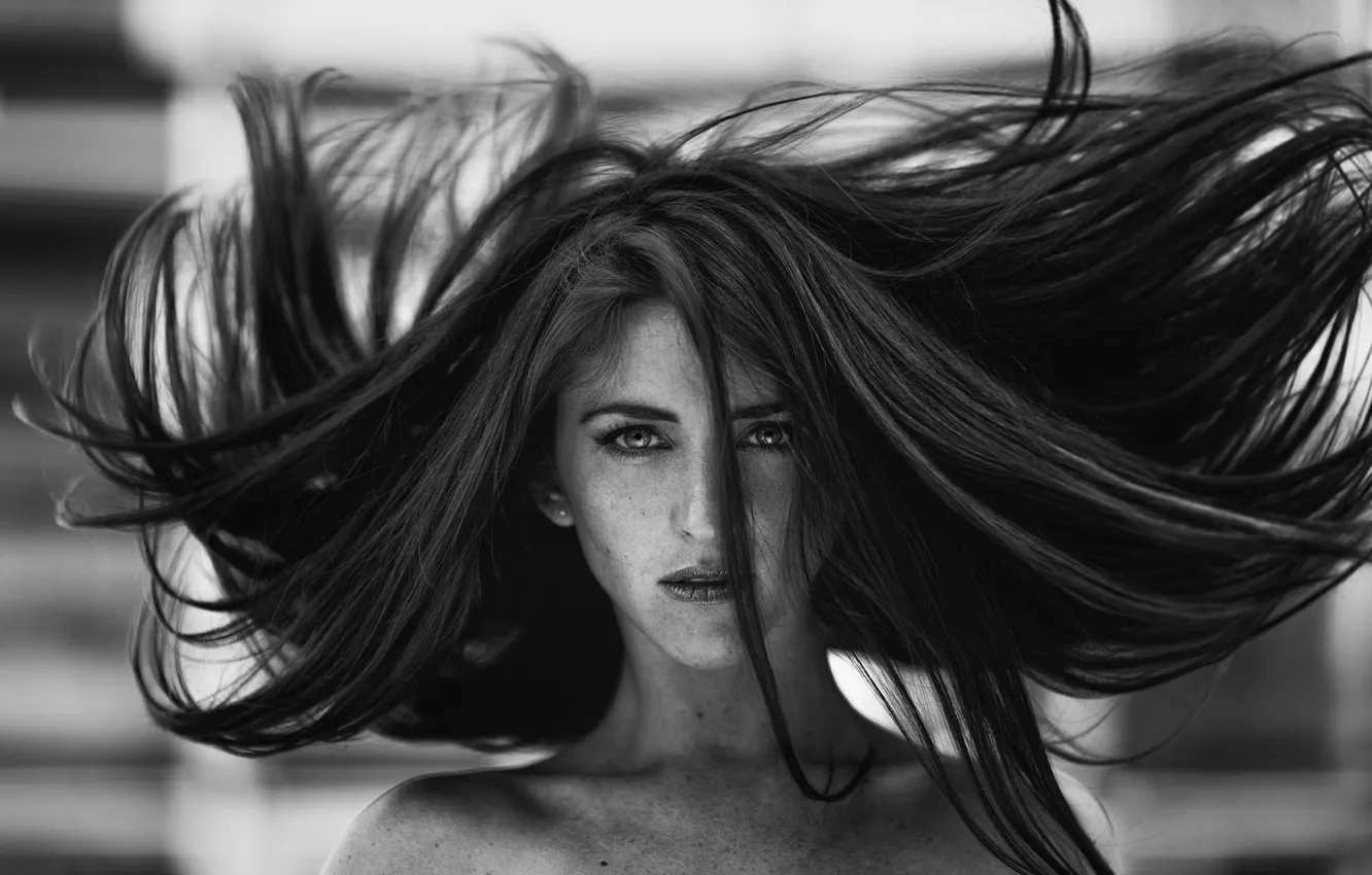 Photo wallpaper girl, photo, the wind, hair, black and white